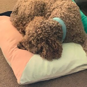 Meet your Posher, Ali